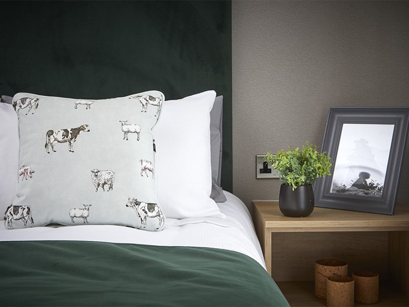  for sale Pembrokeshire, South Wales